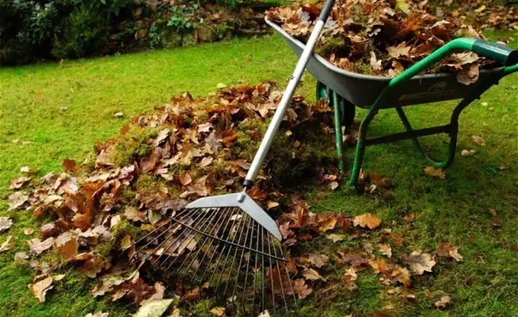 Уборка листвы. Уборка территории. Осенние работы. Уборка территории на даче. Уборка листьев в саду.