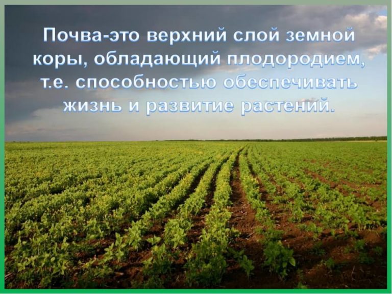 Проблемы , связанные с почвами.