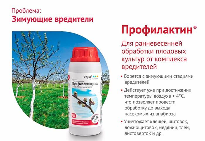 “Профилактин” – надежный защитник вашего сада от вредителей.